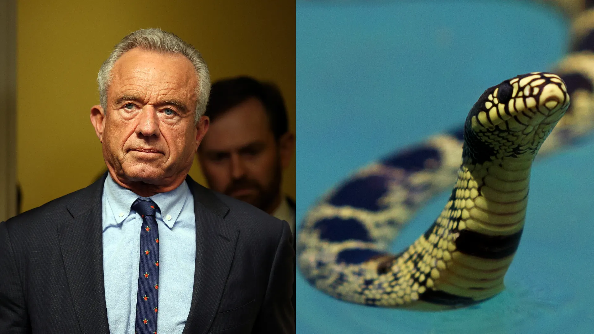 Anti-Trans Health Secretary RFK Jr. Once Allegedly Put Snake in Pool Full of Kids
